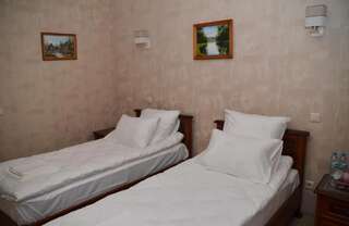 Отель Centralnyi hotel Полтава Двухместный номер с 2 отдельными кроватями и ванной комнатой-1