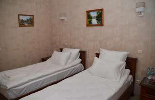 Отель Centralnyi hotel Полтава Двухместный номер с 2 отдельными кроватями и ванной комнатой-6